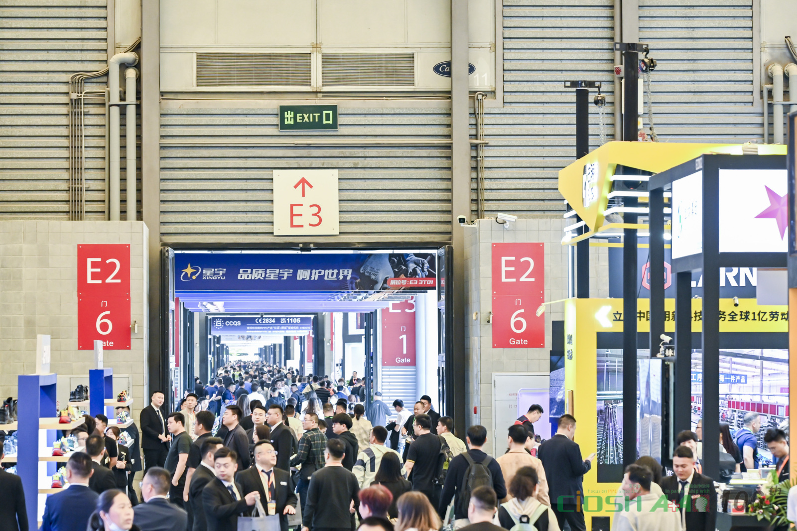 13036680.jpg 13036680.jpg